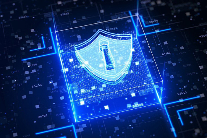 Enterprise-Grade Data Security
